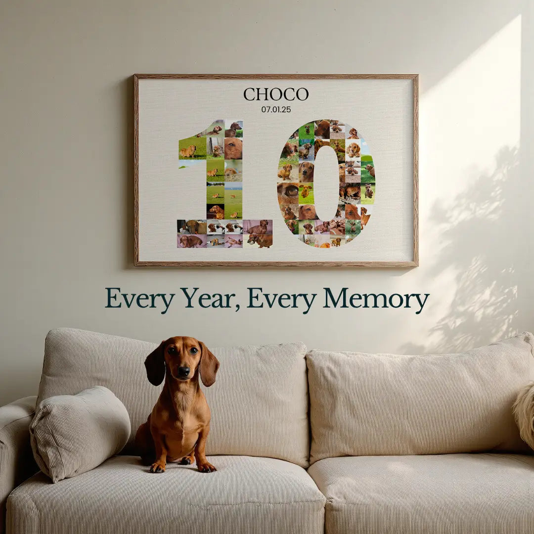 Numbered Memories