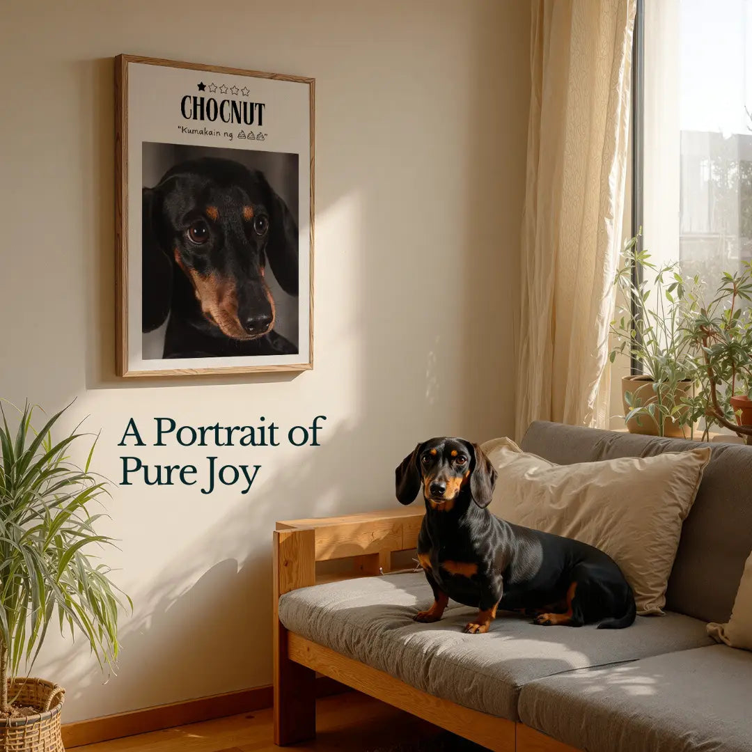 Pup Review
