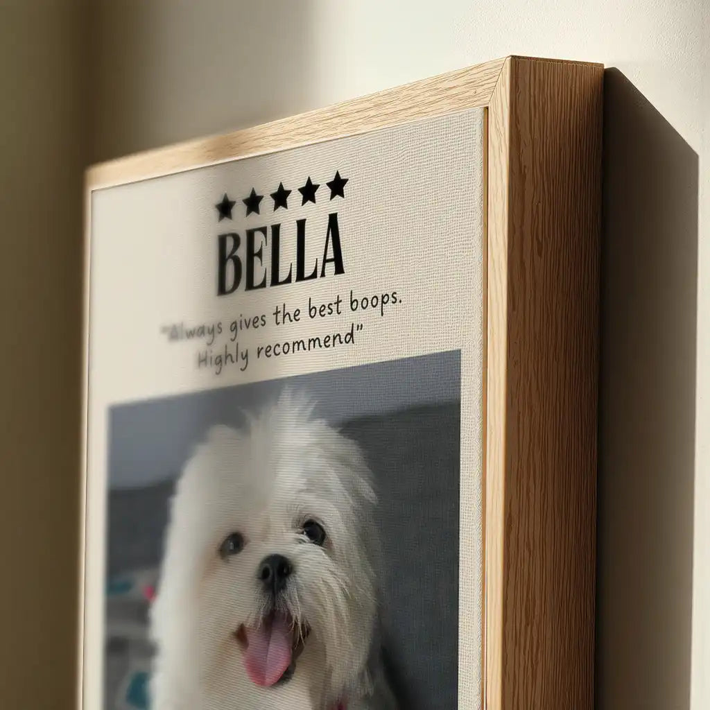 Pup Review